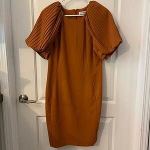 Calvin Klein Orange Dress with Pleated Sleeves